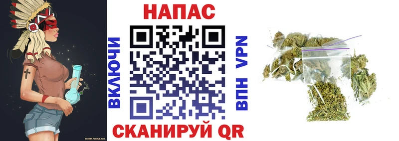 Бошки Шишки план Купить Спасск-Рязанский